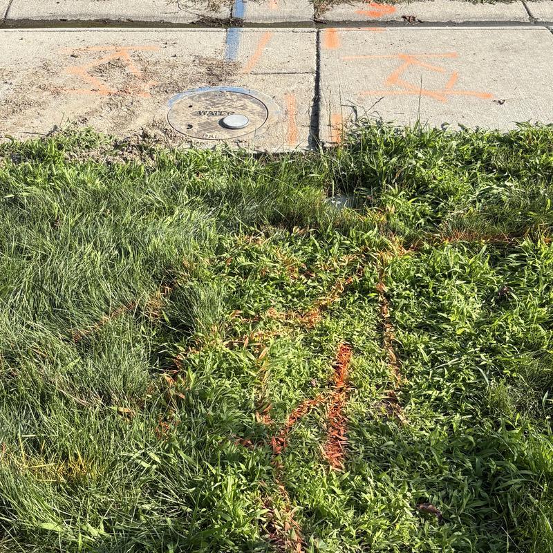 Water meter and service line markings on grass near sidewalk