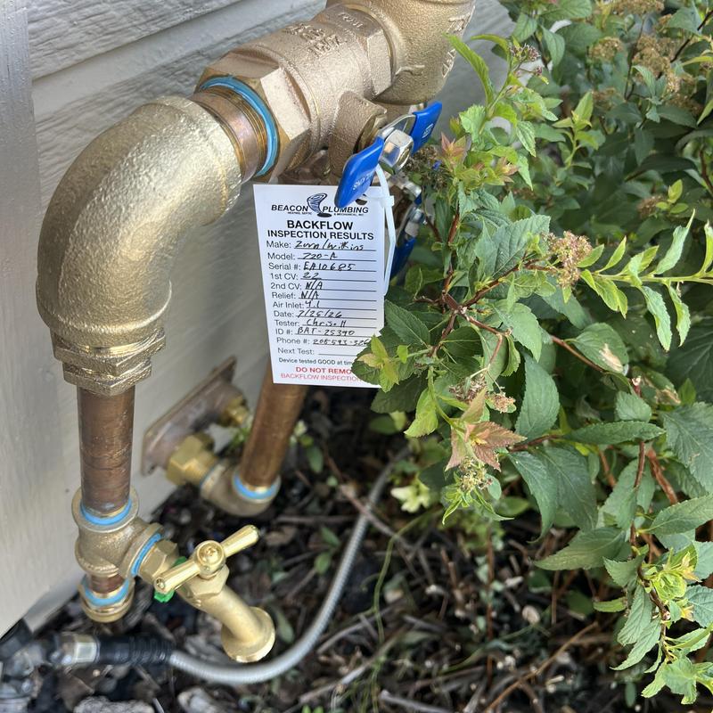 Backflow assembly with inspection tag near foliage Backflow assembly with inspection tag near foliage