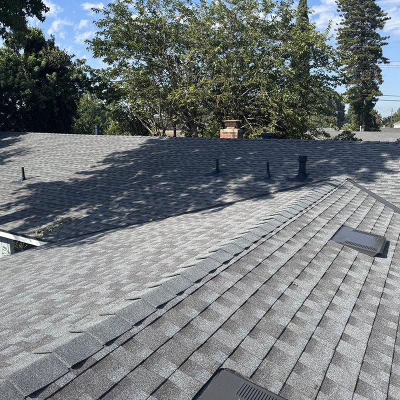 Shingle roof with ventilation caps and chimney Shingle roof with ventilation caps and chimney