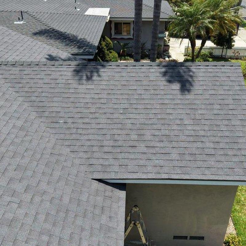 Shingle roof with palm tree shadows in residential area Shingle roof with palm tree shadows in residential area