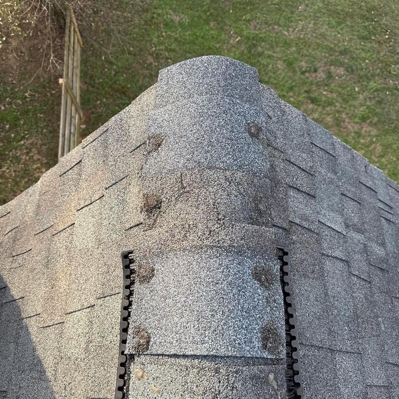 Asphalt shingle roof with visible hail damage spots