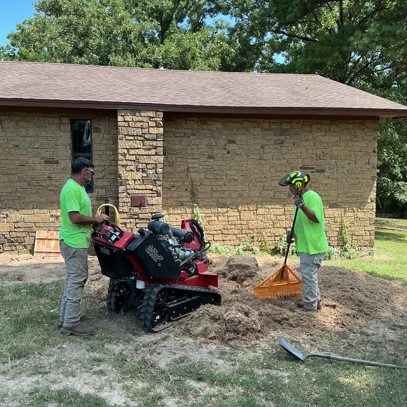 Tree stump grinding with mini skid steer and cleanup Tree stump grinding with mini skid steer and cleanup
