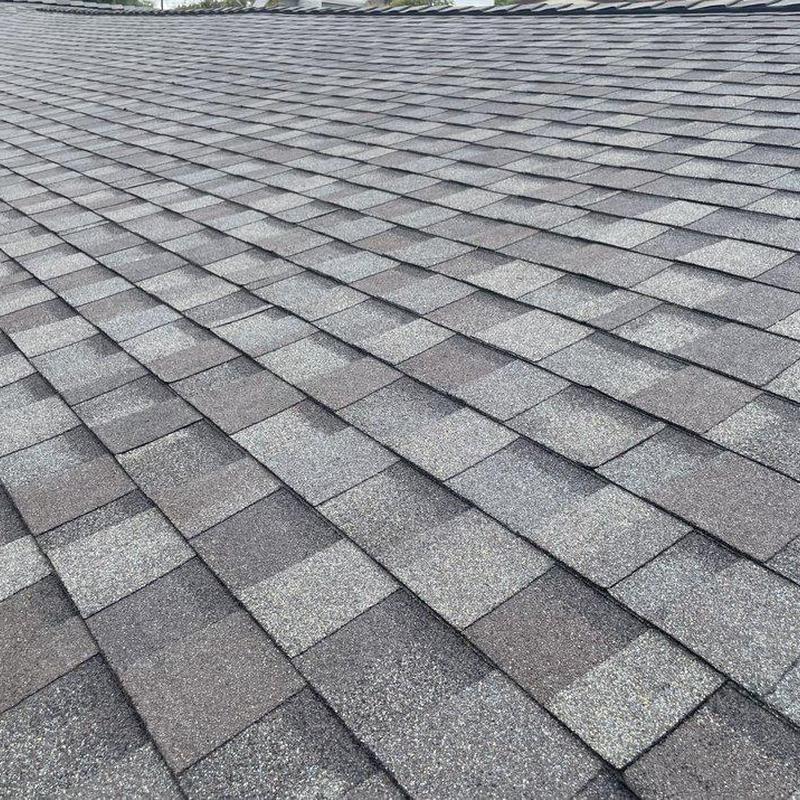 Shingle roof in good condition with minor wear Shingle roof in good condition with minor wear