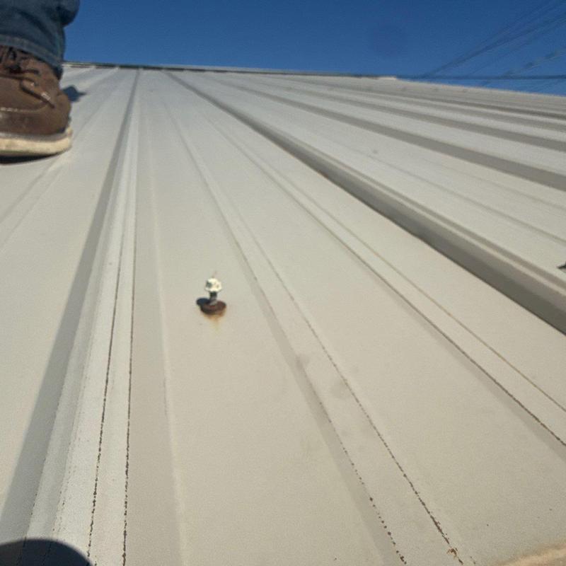 Metal roof panel with rusted fastener and damage