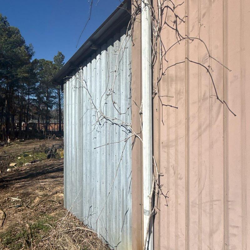 Metal siding panels with vine overgrowth outdoors