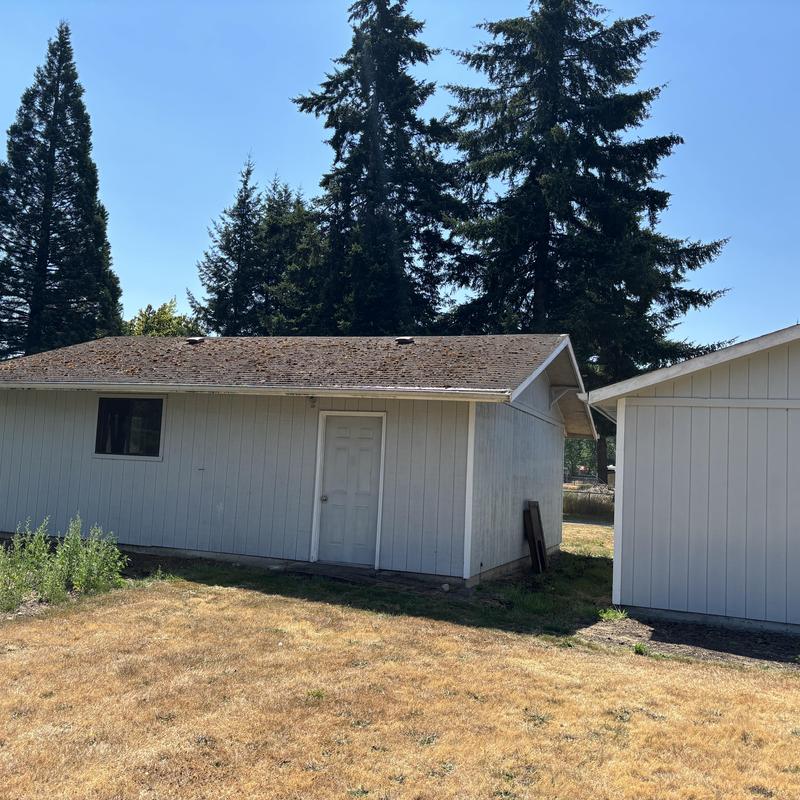 Asphalt shingle roof on storage building with wear Asphalt shingle roof on storage building with wear