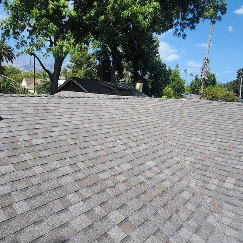 Asphalt shingle roof with surrounding trees and houses Asphalt shingle roof with surrounding trees and houses