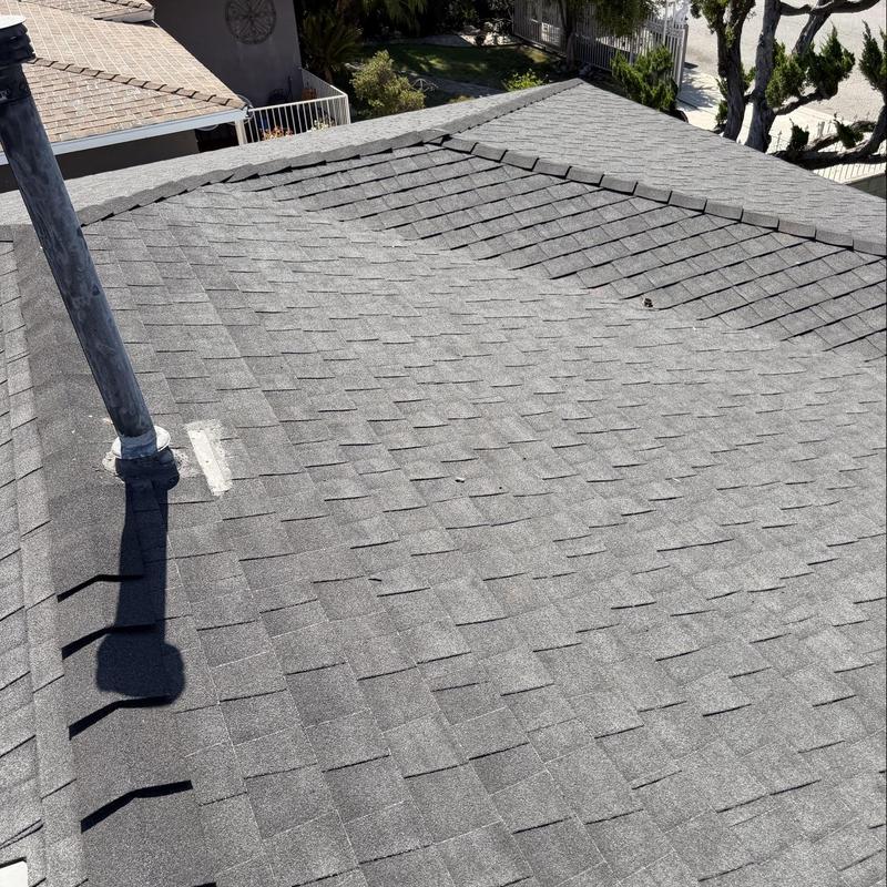 Shingle roof inspection with minor damage visible Shingle roof inspection with minor damage visible