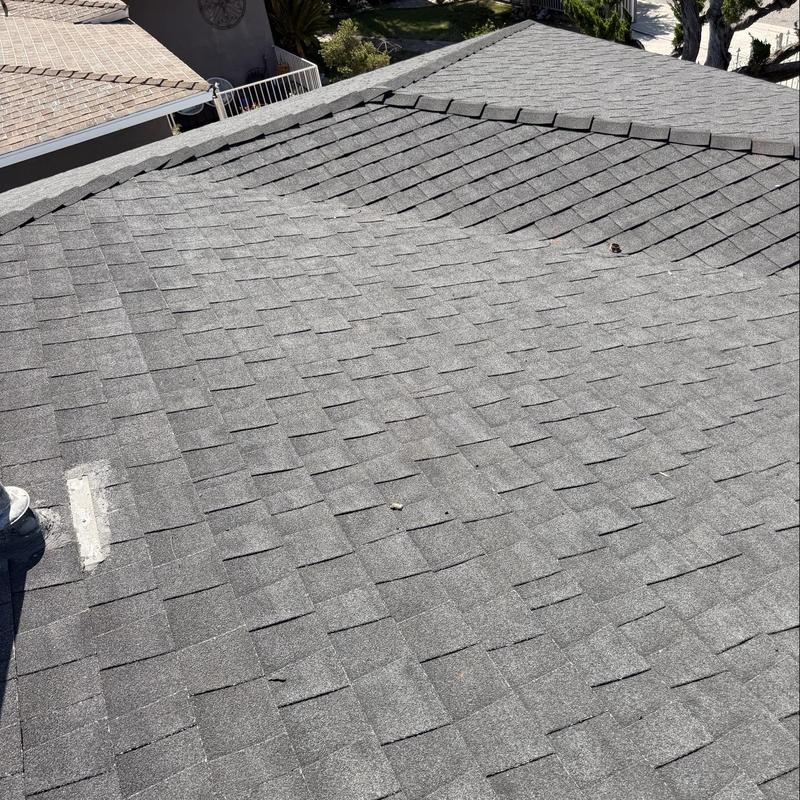 Shingle roof inspection showing overall condition Shingle roof inspection showing overall condition
