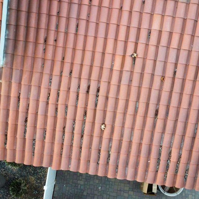 Tile roof inspection showing debris and wear Tile roof inspection showing debris and wear