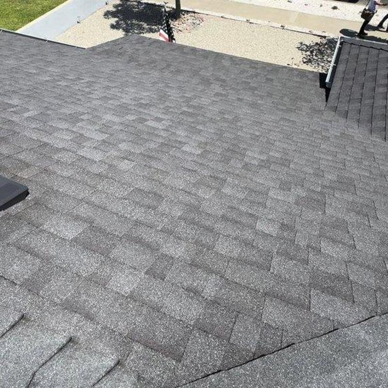 Asphalt shingle roof close-up with visible texture Asphalt shingle roof close-up with visible texture
