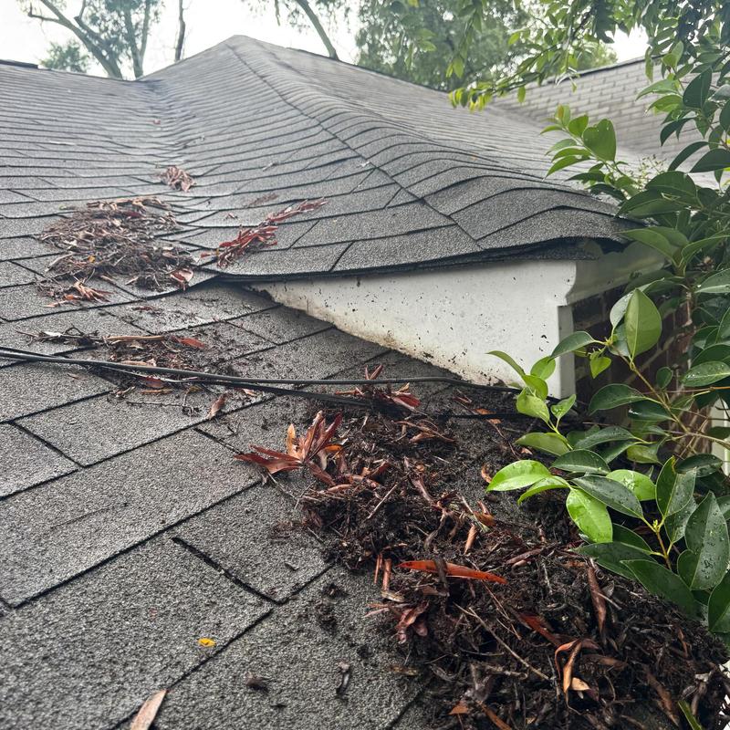 Roof shingles and gutter debris near roof edge and plants