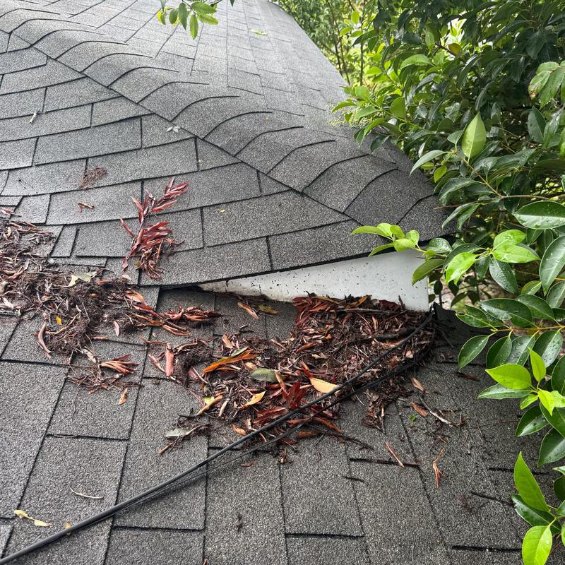 Roof transition flashing with debris buildup near trees