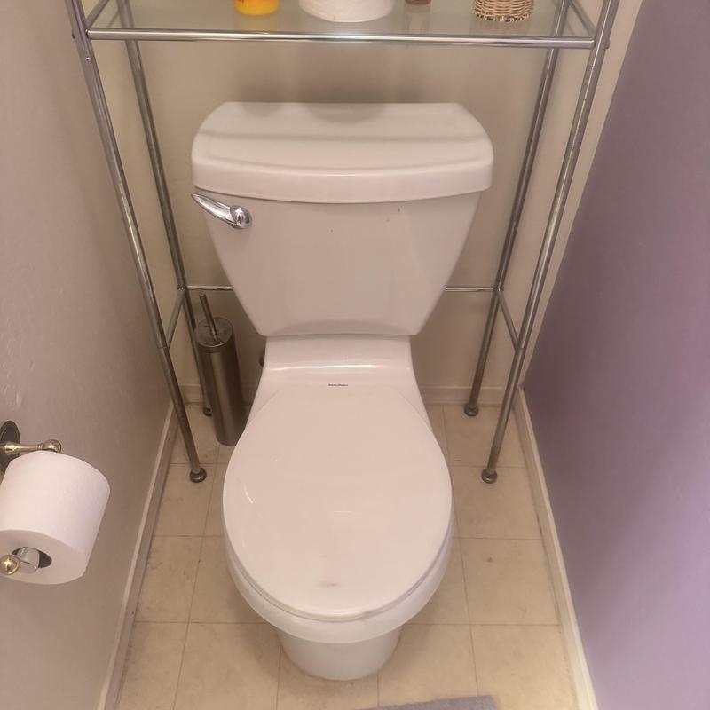 Champion Ford toilet with new flapper installed Champion Ford toilet with new flapper installed