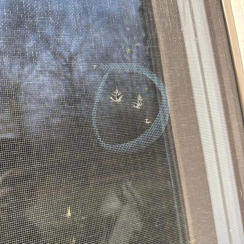 Window screen with torn mesh damage circled in blue