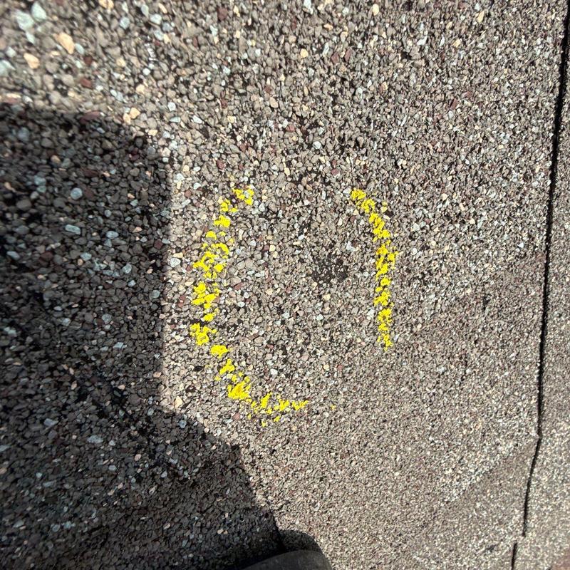 Roof granules with hail damage marked in yellow
