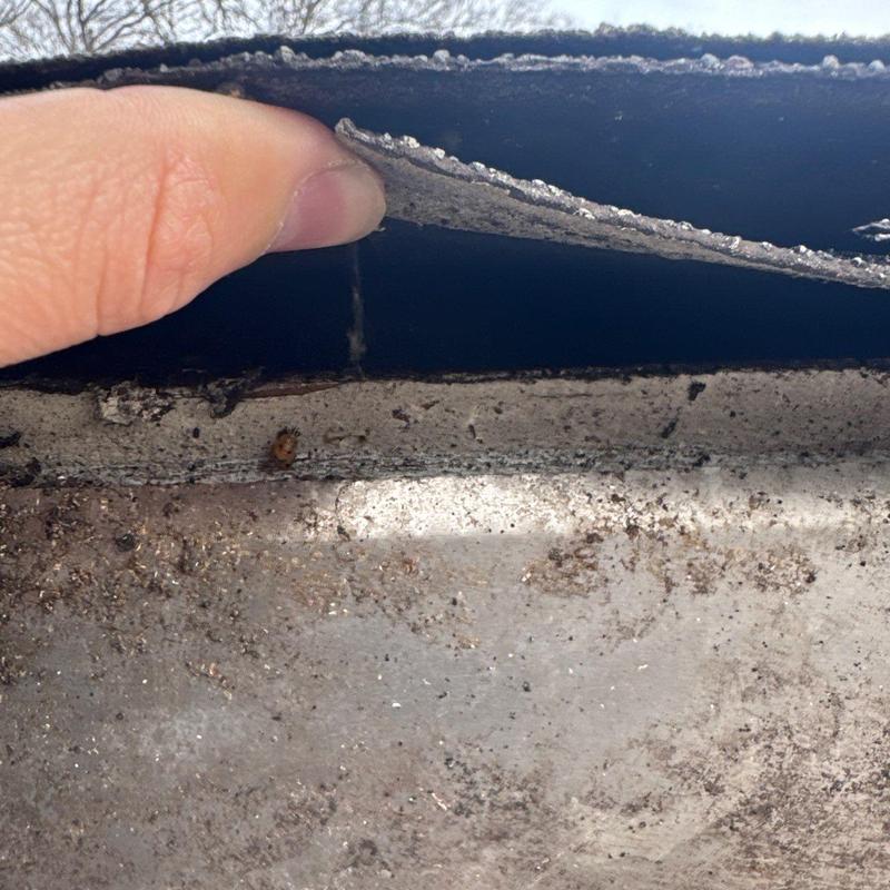 Roofing membrane edge lifted showing damage and dirt buildup