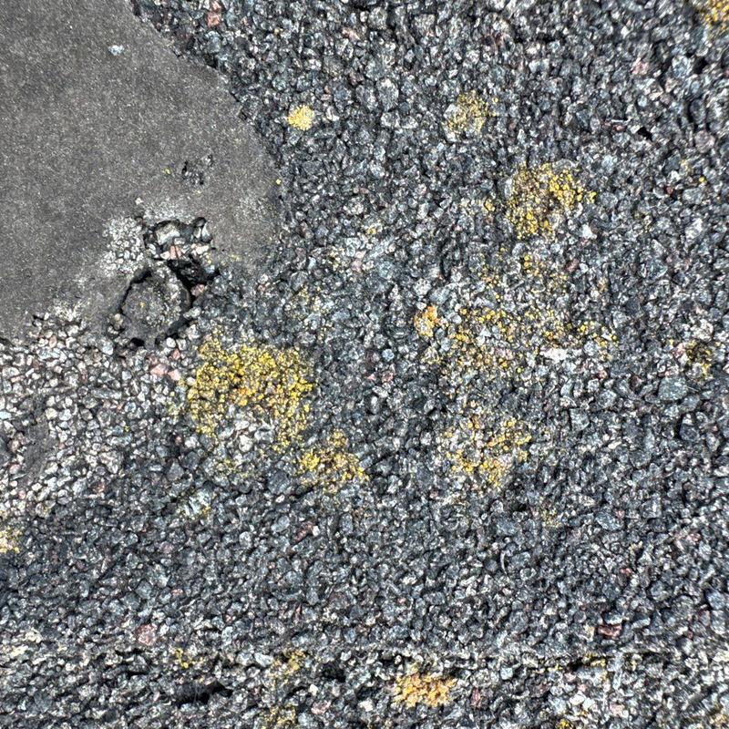 Asphalt shingle roof with hail damage and yellow markings