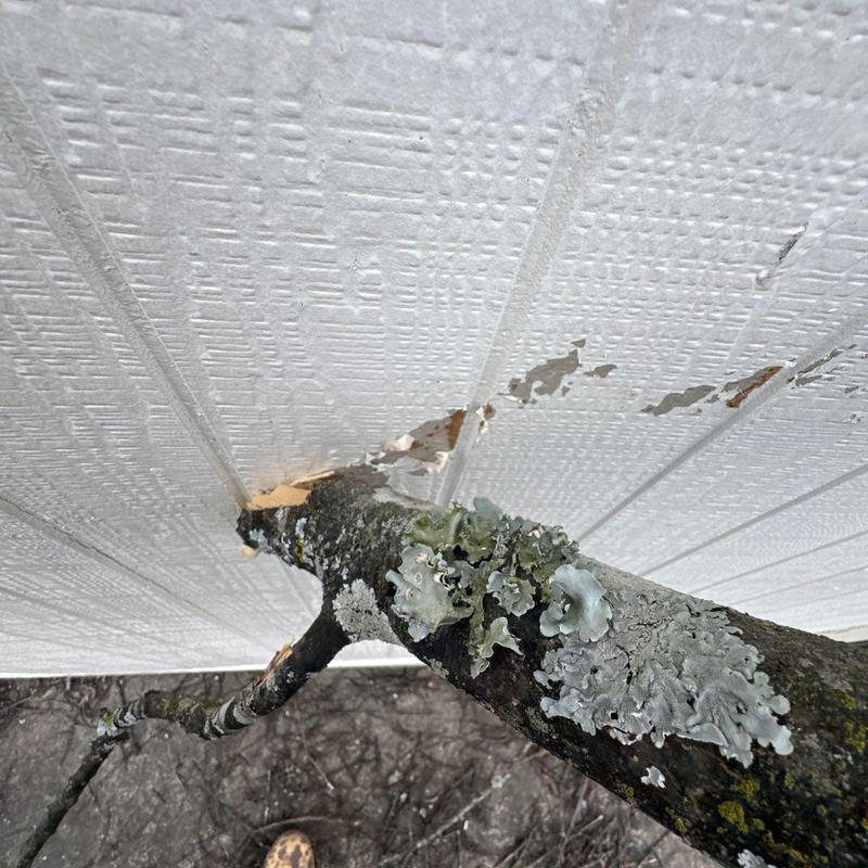 Vinyl siding with branch impact damage near ground level