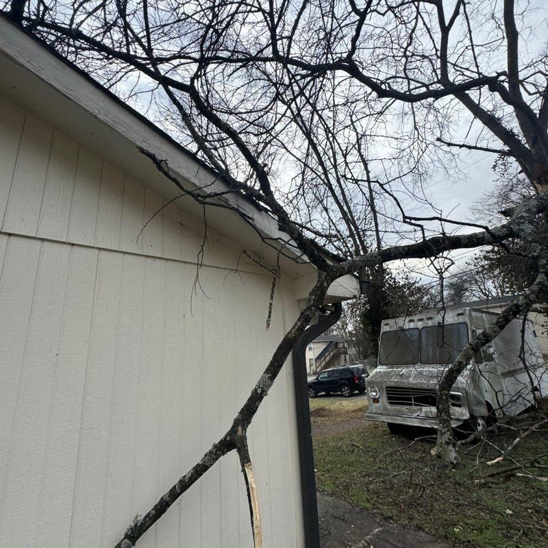 Gutter with fallen tree branch damage on building exterior