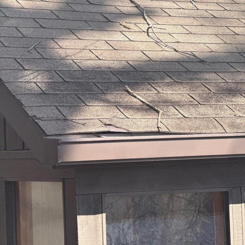 Roof shingles with hail damage near gutter edge