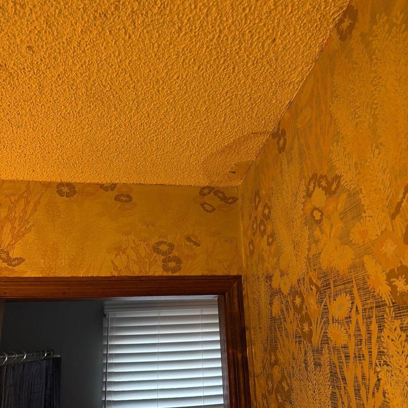 Ceiling with water damage and peeling wallpaper
