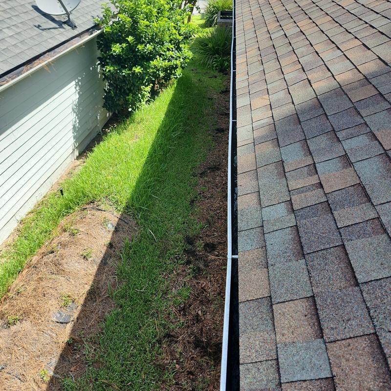 Roof shingles with cleaned gutters along side yard Roof shingles with cleaned gutters along side yard