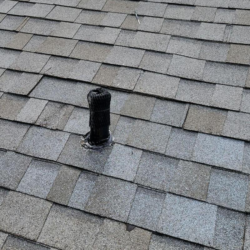 Plumbing vent boot with squirrel screen on shingle roof Plumbing vent boot with squirrel screen on shingle roof