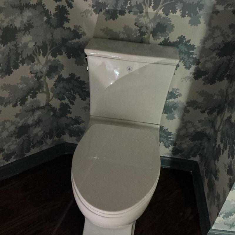 Toilet installation in bathroom corner with patterned wallpaper Toilet installation in bathroom corner with patterned wallpaper