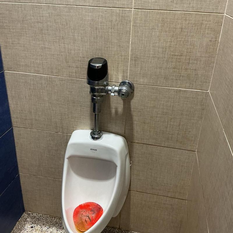 Taller urinal with flush valve and drain cleaning Taller urinal with flush valve and drain cleaning