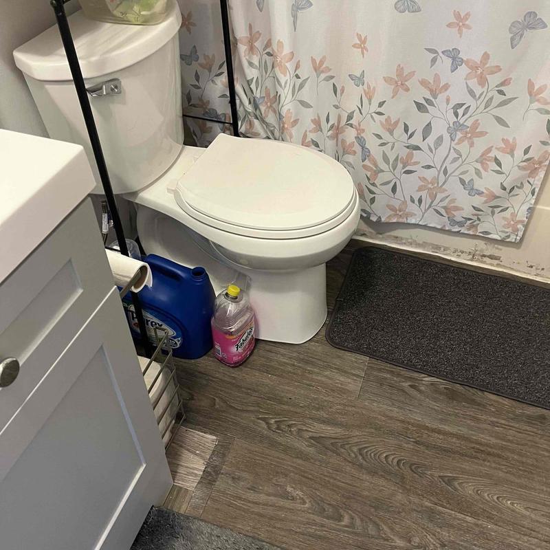 Toilet and bathroom snake clearing in residential bathroom