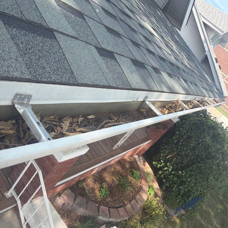Gutter with leaves and debris on shingled roof edge Gutter with leaves and debris on shingled roof edge