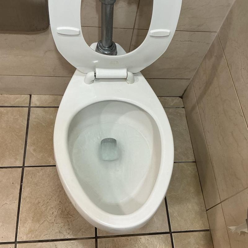Toilet bowl flushing and water flow in men's restroom Toilet bowl flushing and water flow in men's restroom