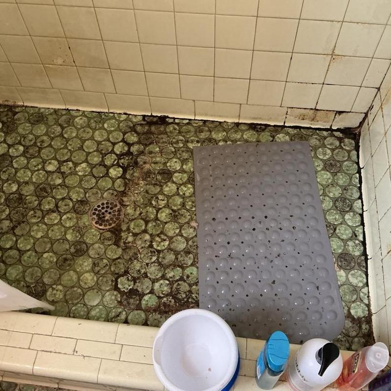 Bathroom shower floor with mold and drain visible Bathroom shower floor with mold and drain visible