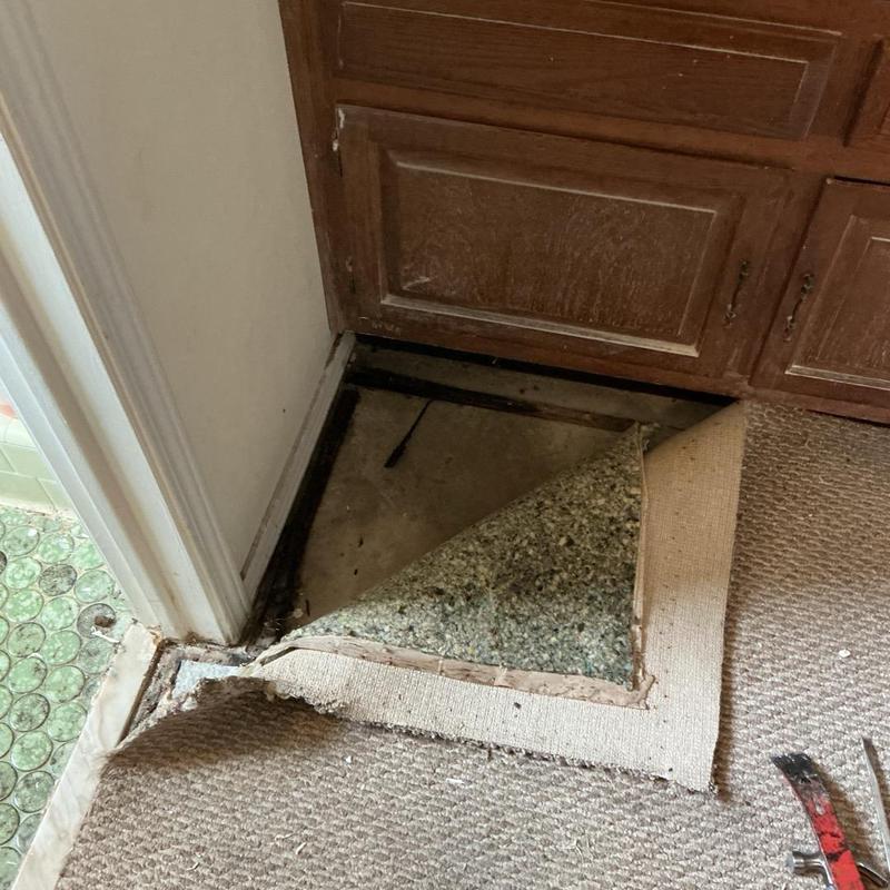 Bathroom carpet removed to inspect water underlay Bathroom carpet removed to inspect water underlay
