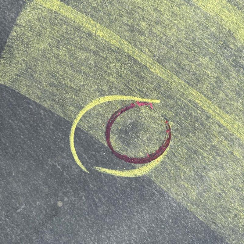 Hail-damaged roof shingle marked for repair