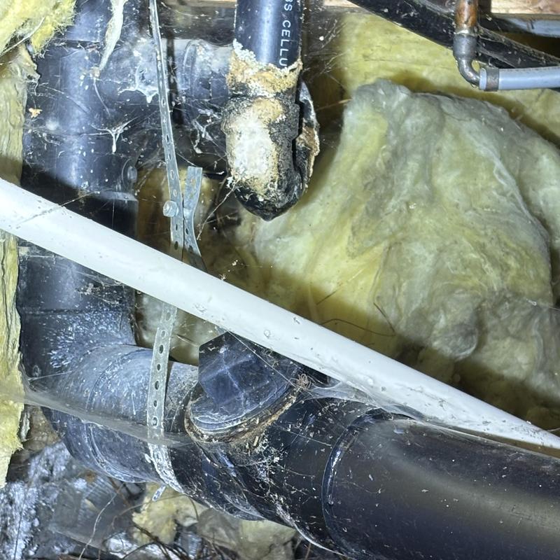 Sewage pipe leak under home with insulation