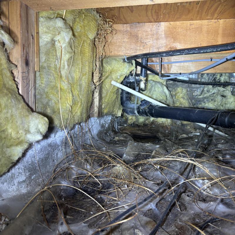 Sewage pipe under home with insulation and debris