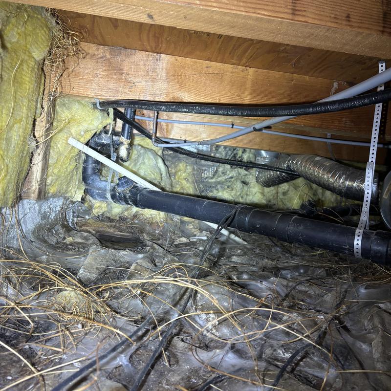 Sewage pipe leak inspection under home with insulation