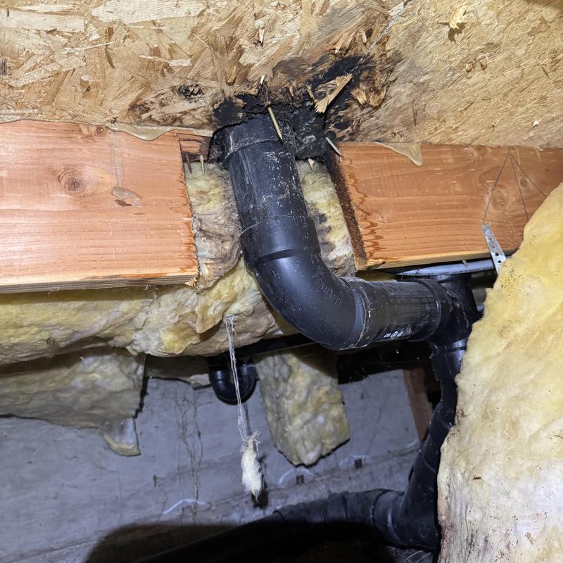 Main sewer line pipe under joist with insulation