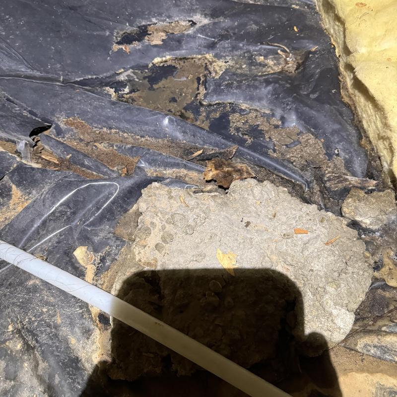 Septic tank drain field failure on black liner