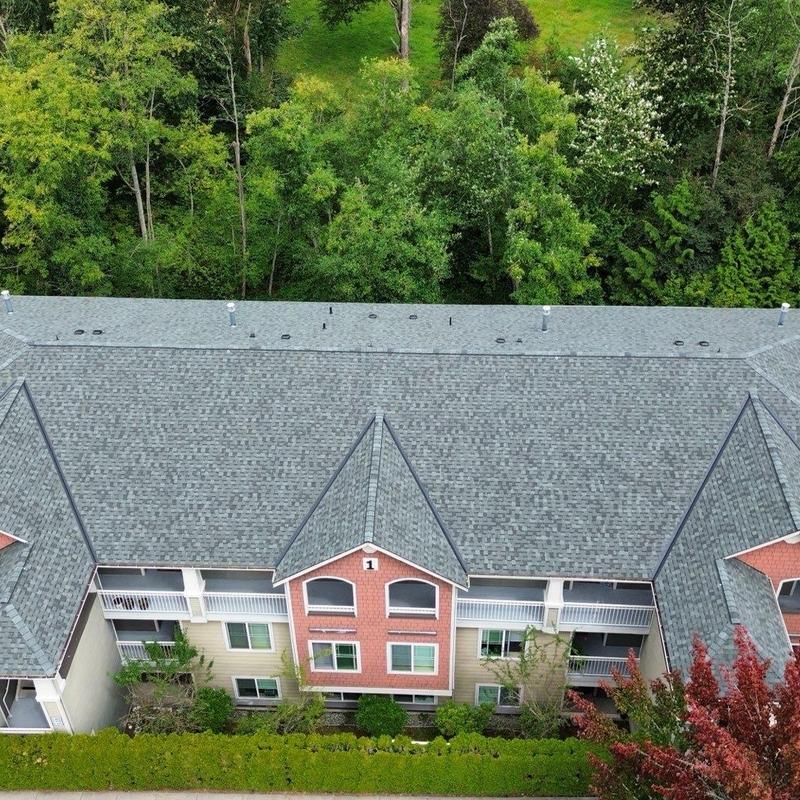 Asphalt shingle roof on residential building with greenery