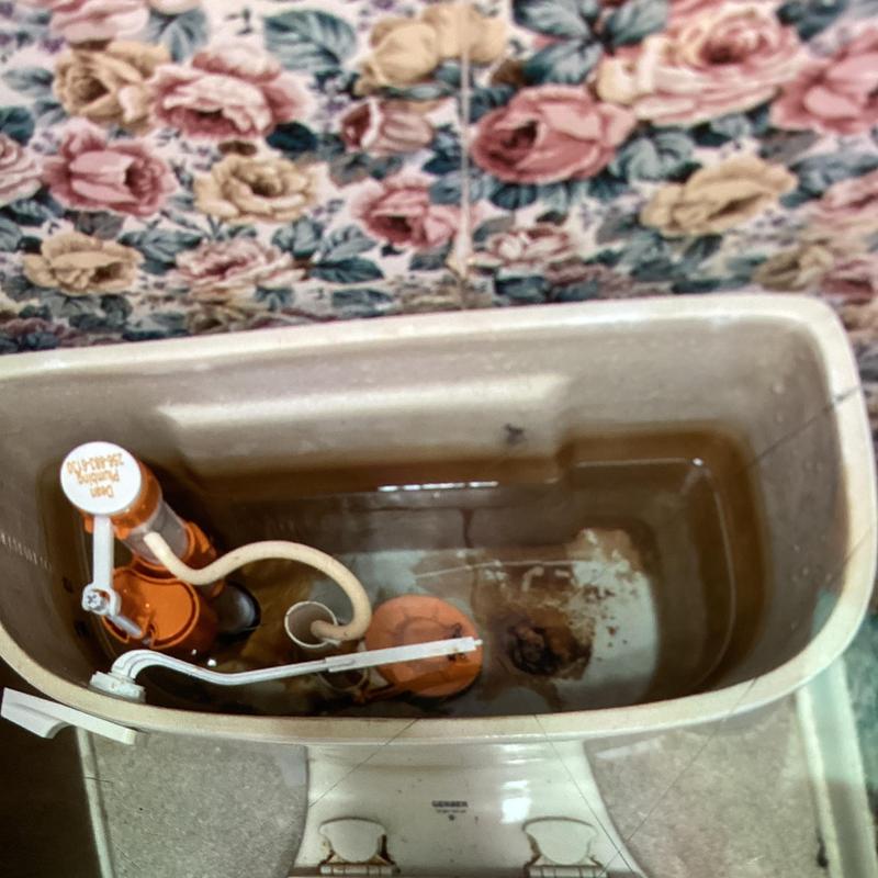 Toilet tank fill valve and flapper replacement