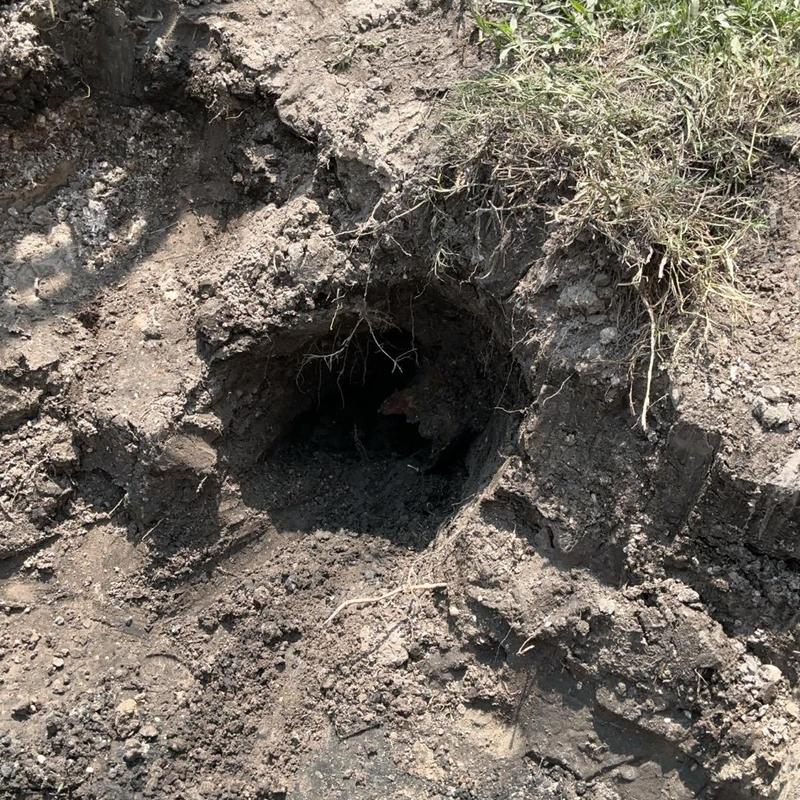 Broken sewer pipe excavation with exposed soil and roots Broken sewer pipe excavation with exposed soil and roots