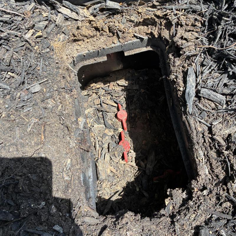 Irrigation valve box exposed in yard with ground mulch