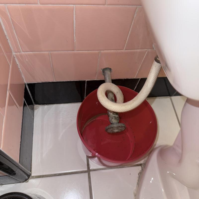Toilet water supply line with shut-off valve and bucket