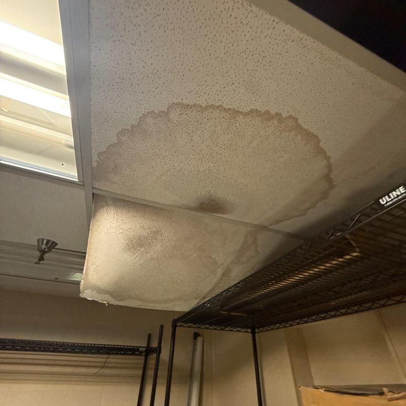 Ceiling tile with large water stains and damage