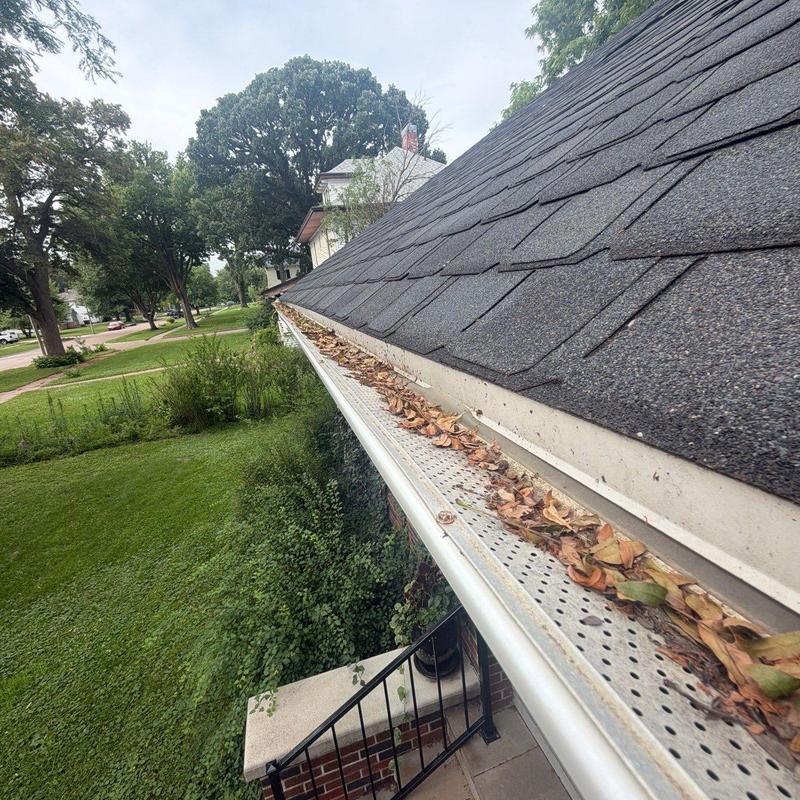 Roof gutter with leaf guard and debris buildup Roof gutter with leaf guard and debris buildup