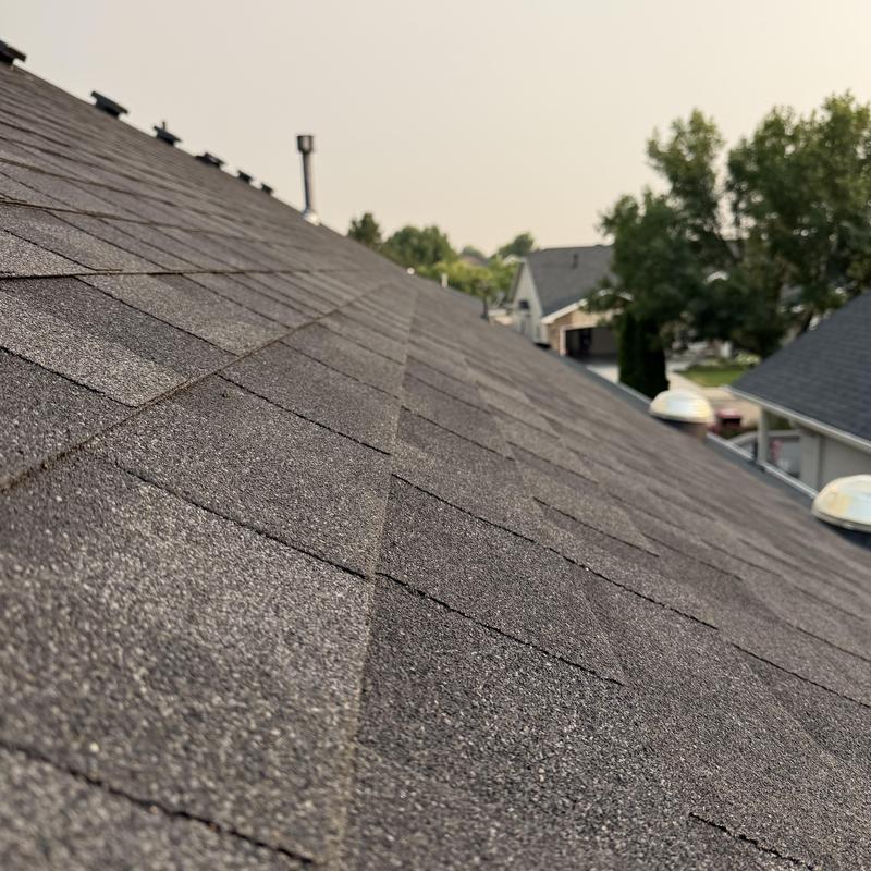 IKO Dynasty shingle roof with vents and nearby trees IKO Dynasty shingle roof with vents and nearby trees