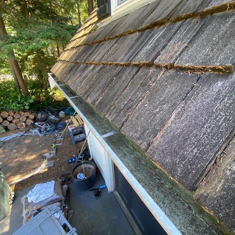 Roof shingles and gutters with moss and debris buildup